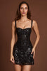 Embellished Peekaboo Corset A-Line Mini Dress in Black Zebra